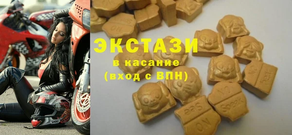 индика Надым