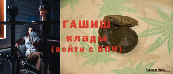 индика Надым