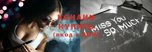 индика Надым