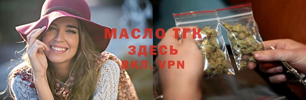 индика Надым