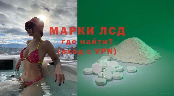 индика Надым