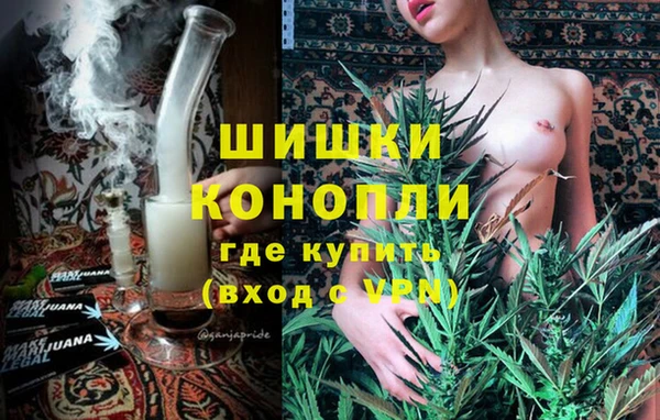 индика Надым