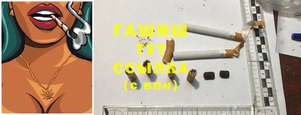 индика Надым