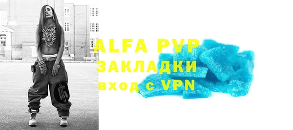 индика Надым