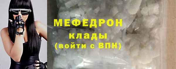 индика Надым
