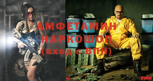 индика Надым