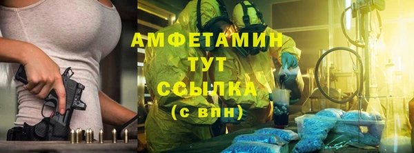 индика Надым