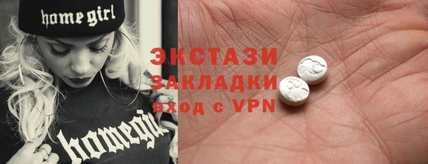 индика Надым