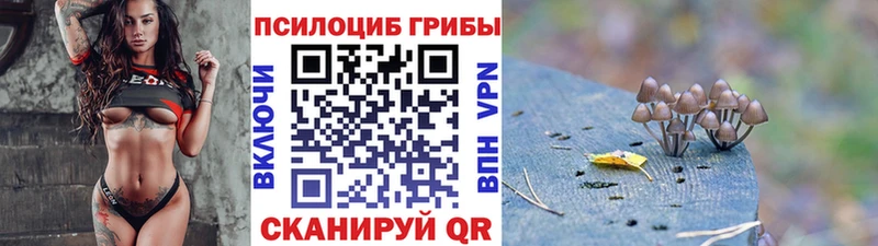 где купить наркоту  Подпорожье  Псилоцибиновые грибы Psilocybe 