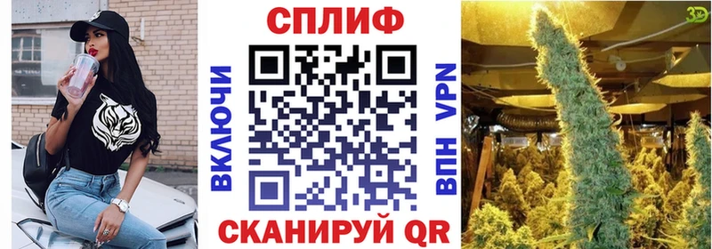 продажа наркотиков  нарко площадка наркотические препараты  Бошки марихуана ГИДРОПОН  Подпорожье 